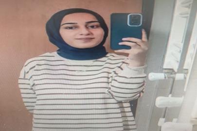 Van Barosu, Rojin Kabaiş dosyasından çekildi