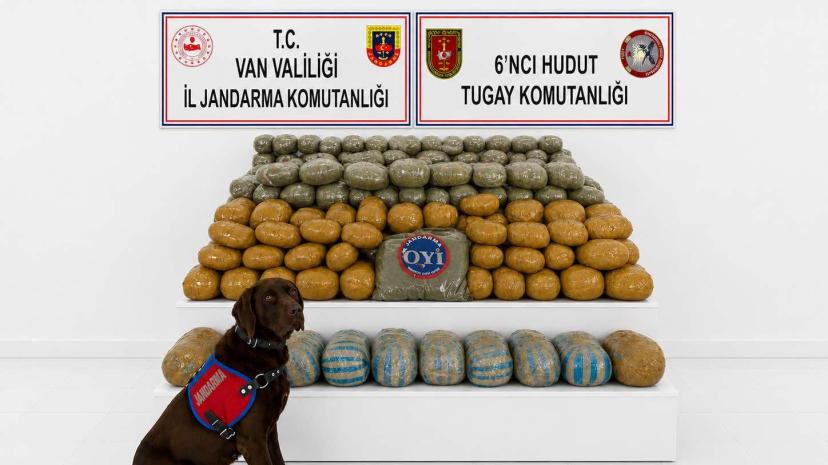 Van'da 291 kilo toz esrar maddesi ele geçirildi