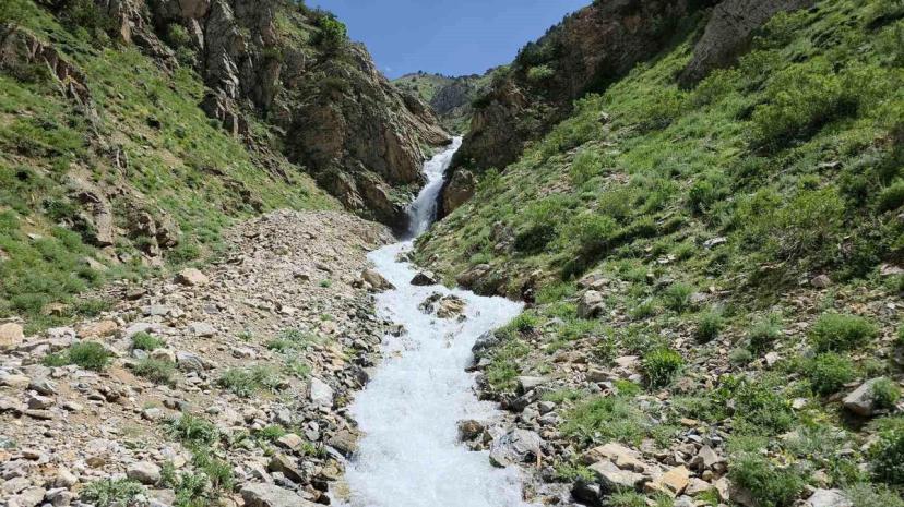 Çatak'ta Kuruyan Su Kaynağı Yeniden Akmaya Başladı