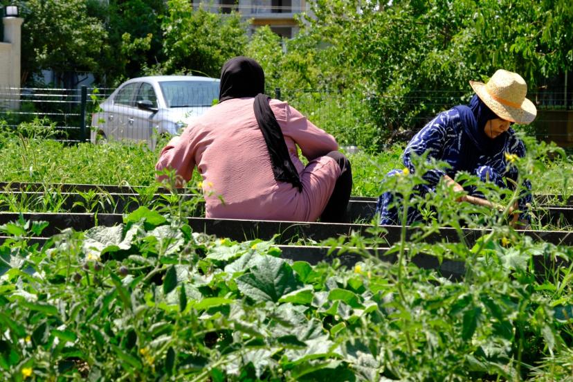 Hatuniye Kadın Bostanı, kadın emeği ve dayanışmasıyla yeşermeye devam ediyor.