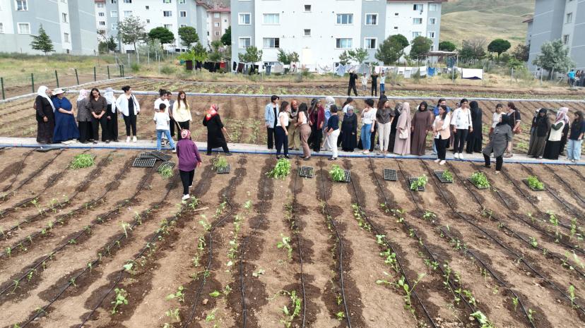 İpekyolu Belediyesi Kentin En Büyük Kadın Kent Bostanını Hayata Geçirdi