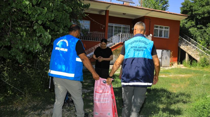 İpekyolu Belediyesinden sokak hayvanları için örnek proje