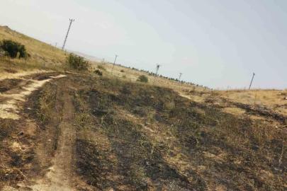 Tuşba'da Anız Yangını Söndürüldü