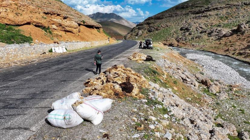 Van'da Yün Kırkımı Çevreyi Kirletiyor