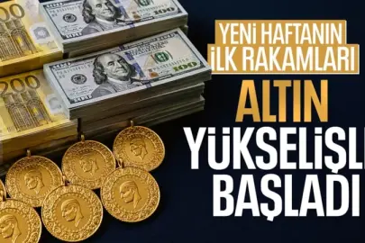 Altın yükselişini sürdürüyor
