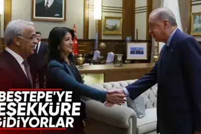 Cumhurbaşkanı Erdoğan, Pervin Buldan ve Mithat Sancar'ı kabul edecek