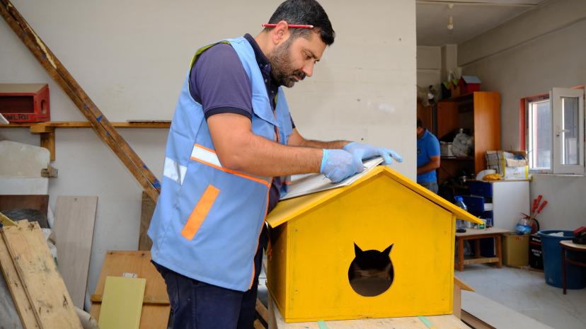 Geri Dönüşüm Malzemeleri Kedi Kulübesine Dönüşüyor