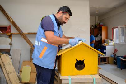 Geri Dönüşüm Malzemeleri Kedi Kulübesine Dönüşüyor