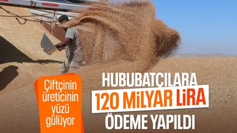 Hububat üreticilerine 120 milyar lira ödeme yapıldı