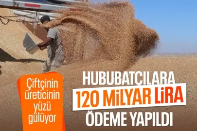 Hububat üreticilerine 120 milyar lira ödeme yapıldı