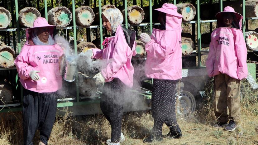 'Pembe maskeli’ kadın arıcılar hasada başladı