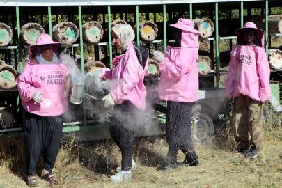 'Pembe maskeli’ kadın arıcılar hasada başladı