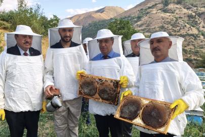 Van Çatak'ta bal hasadı başladı, 500 tonun üzerinde rekolte bekleniyor