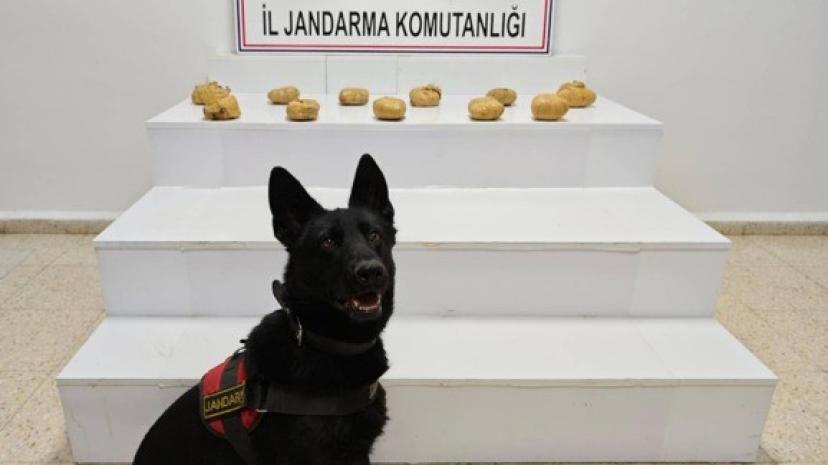 Başkale'de çuvalda 11 kilo 958 gram toz esrar ele geçirildi