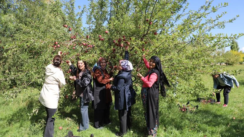 Kadın emeğiyle büyüyen Hevpar Kadın Kooperatifi ilk hasadını gerçekleştirdi