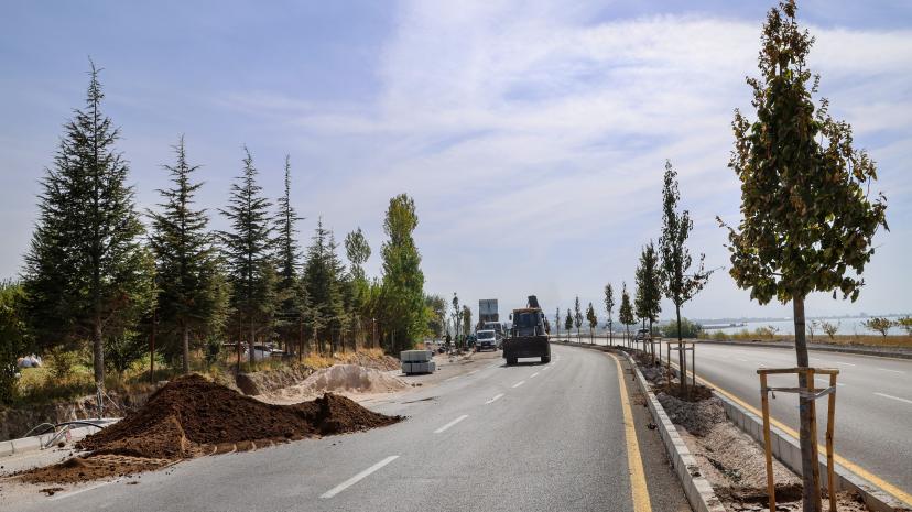 VAN GÖLÜ SAHİL YOLU’NDA AĞAÇLANDIRMA ÇALIŞMALARI SÜRÜYOR