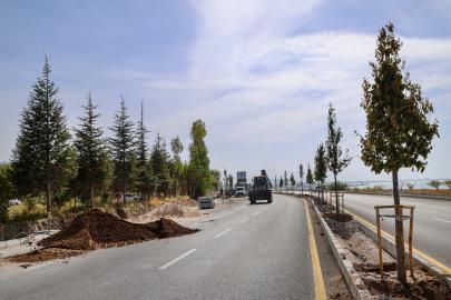 VAN GÖLÜ SAHİL YOLU’NDA AĞAÇLANDIRMA ÇALIŞMALARI SÜRÜYOR
