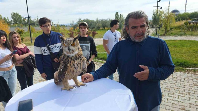 Van YYÜ'nün Göçmen Kuşlar Günü etkinliğinde tedavisi biten şahin doğaya bırakıldı