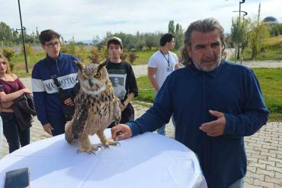 Van YYÜ'nün Göçmen Kuşlar Günü etkinliğinde tedavisi biten şahin doğaya bırakıldı