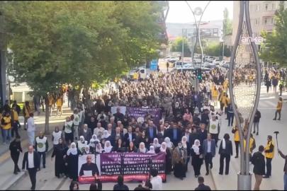 Van'da Abdullah Öcalan için yürüyüş