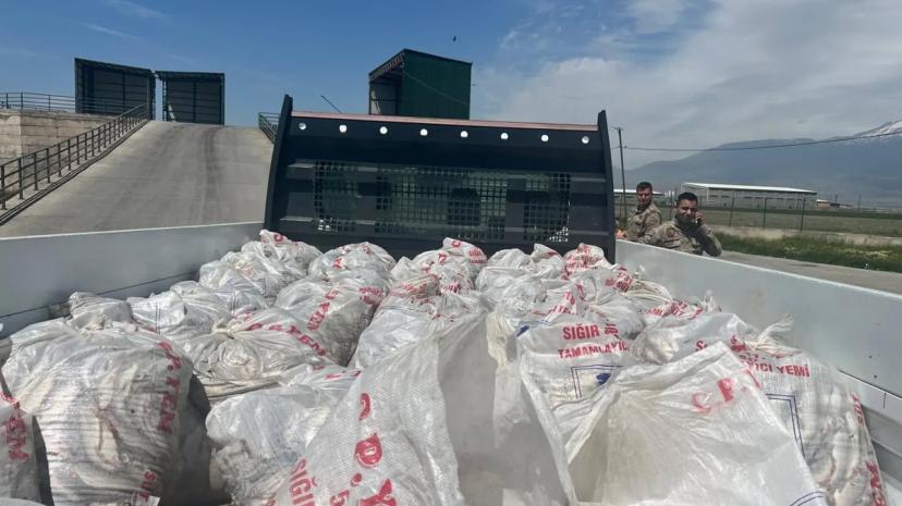 Van'dan Doğubayazıt'a kaçak getirilen 2 ton inci kefaline jandarma el koydu