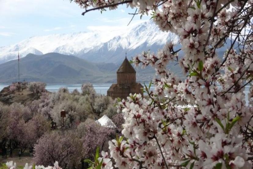 Akdamar Adası Badem Çiçeği Festivali'yle şenlendi  