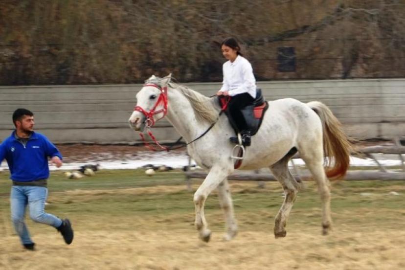  At çiftliğine ilgi büyük