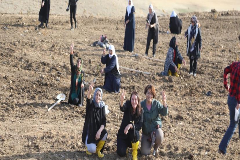 Başkale’de Şiddete Karşı Fidanlar Toprakla Buluştu