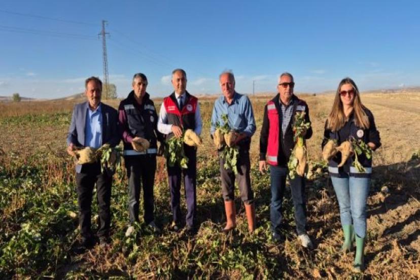 İklim değişikliği şekerpancarı üreticilerini vurdu