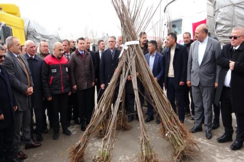 Van’da 640 bin adet fidan dağıtıldı  