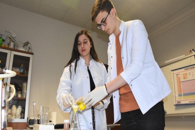 Van kedisinin tüyü öğrencilerin bilimsel çalışmasına konu oldu