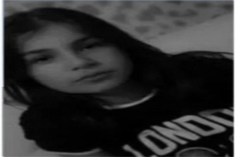 Yüksekova'da başıboş köpeklerin boynundan ısırdığı 12 yaşındaki kız hayatını kaybetti